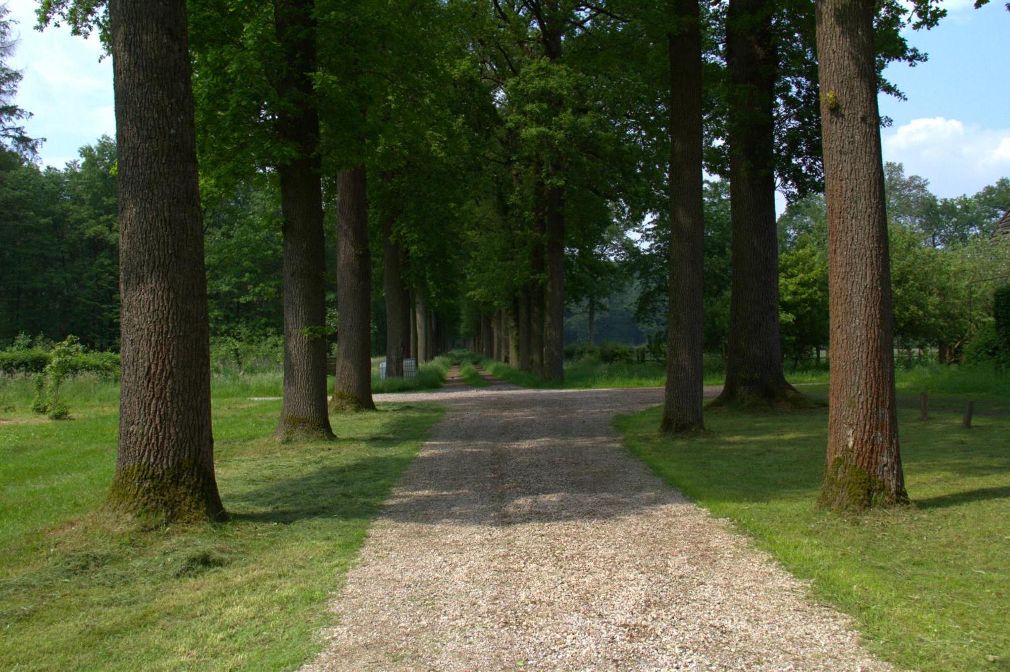 B&B Kasteel Den Tip Arendonk Extérieur photo